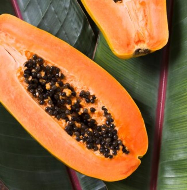 Papaya Health Benefits